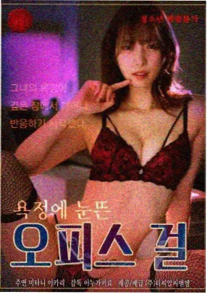 旧城手记剧集海报